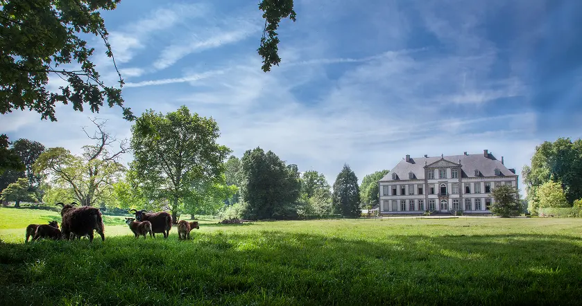 Kasteel Attre en zijn schaapskudde in het landschapspark, Henegouwen, België